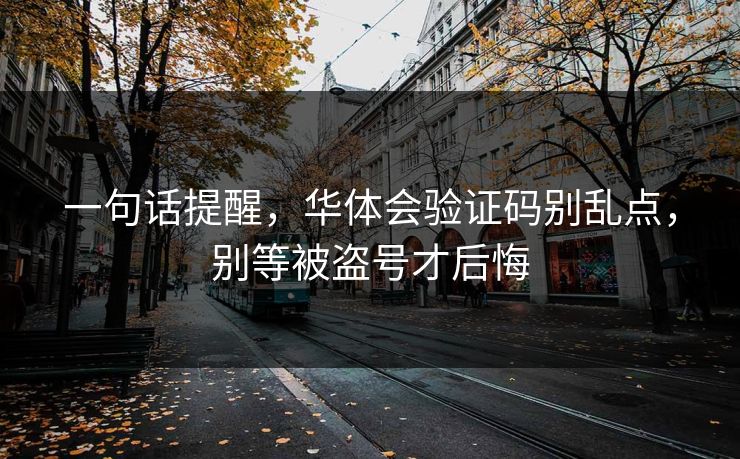 一句话提醒，华体会验证码别乱点，别等被盗号才后悔