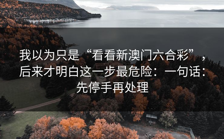 我以为只是“看看新澳门六合彩”，后来才明白这一步最危险：一句话：先停手再处理