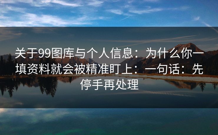 关于99图库与个人信息：为什么你一填资料就会被精准盯上：一句话：先停手再处理