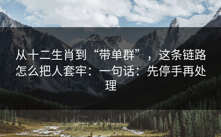 从十二生肖到“带单群”，这条链路怎么把人套牢：一句话：先停手再处理