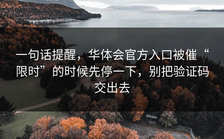 一句话提醒，华体会官方入口被催“限时”的时候先停一下，别把验证码交出去
